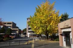 Foto: Plaza frente a la salida sur de la estación Yomiurirakuen