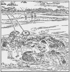 Foto: Situación de la pesca de salmón en la ilustración de lugares famosos de Edo