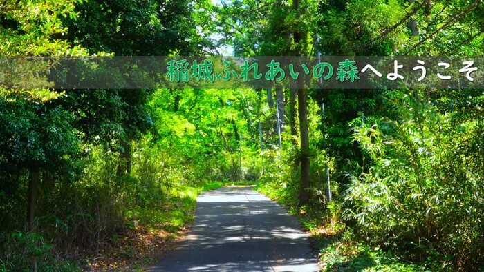 Bienvenido al Bosque de Intercambio de Inagishi