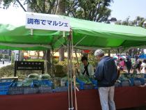 画像　新鮮野菜の販売