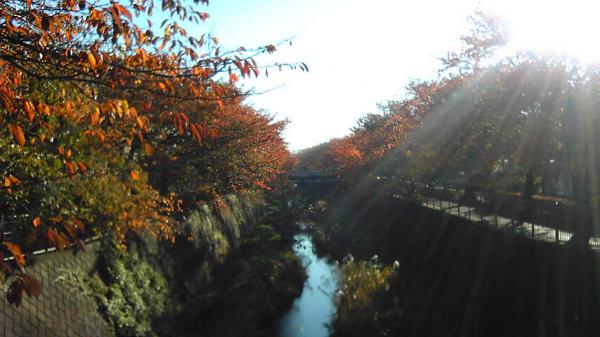 画像　秋の三沢川