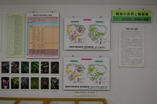 稲城の自然と動植物の展示