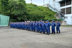 사진: 정렬 모습