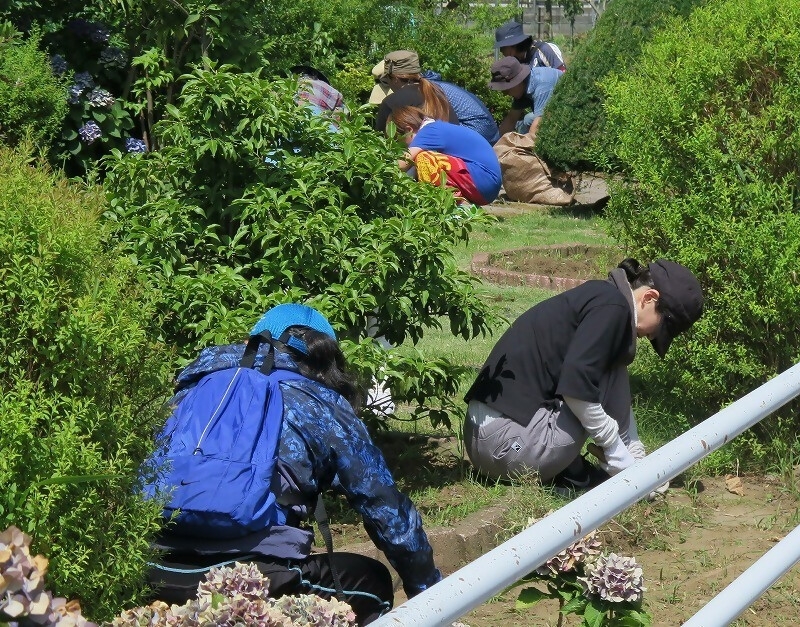 활동 모습 3