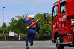 Foto: Transporte de mangueiras