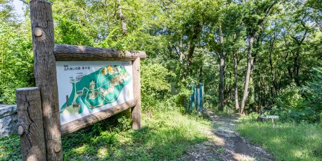 Acesso Geral (Floresta de Convivência de Inagi)