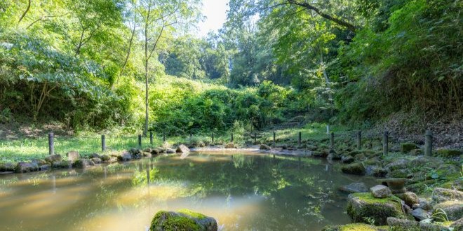 Perguntas Frequentes (Floresta de Convivência de Inagi)