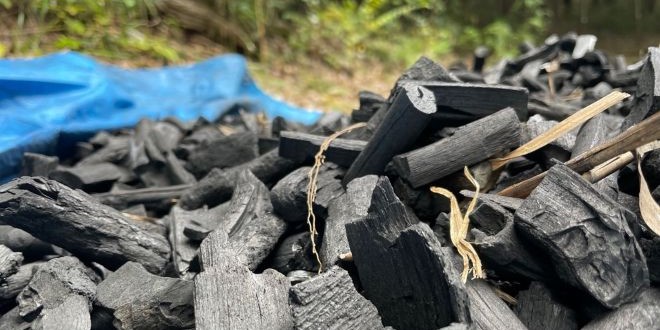 Floresta de Convivência de Inagi Experiência de Carvão