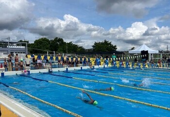 Cenas de campeonatos de natação passados 3