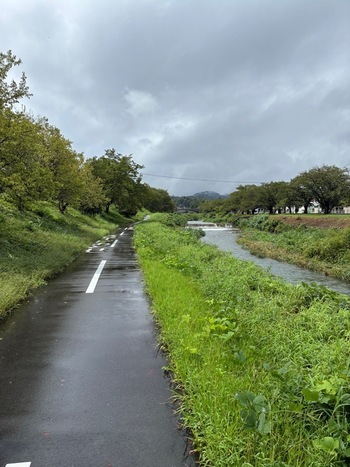 Foto: Imagem do percurso da Caminhada Prateada