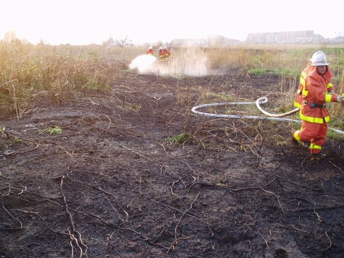 Incêndio em vegetação seca