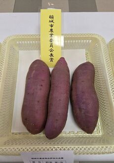 Batata-doce