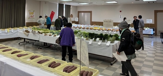Exposição de Produtos Agrícolas (Primeira Fase)