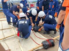 Foto: Aparência do método de construção de folhas