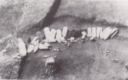Foto: Grupo de placas de armadura encontrado no sítio arqueológico de Omaru