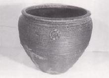 Foto: Vaso contendo canos