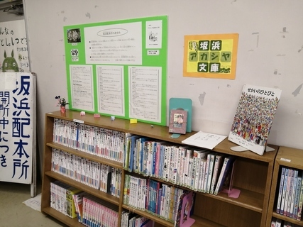 Foto: Prateleira da Biblioteca Acácia