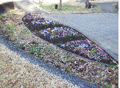 Foto: Praça de Degraus
