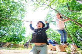 Foto: Obra premiada "Brilhando na floresta"