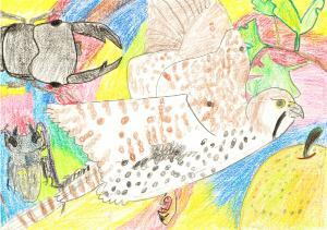 Foto: Desenho inscrito 3