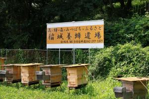 画像　稲城養蜂道場
