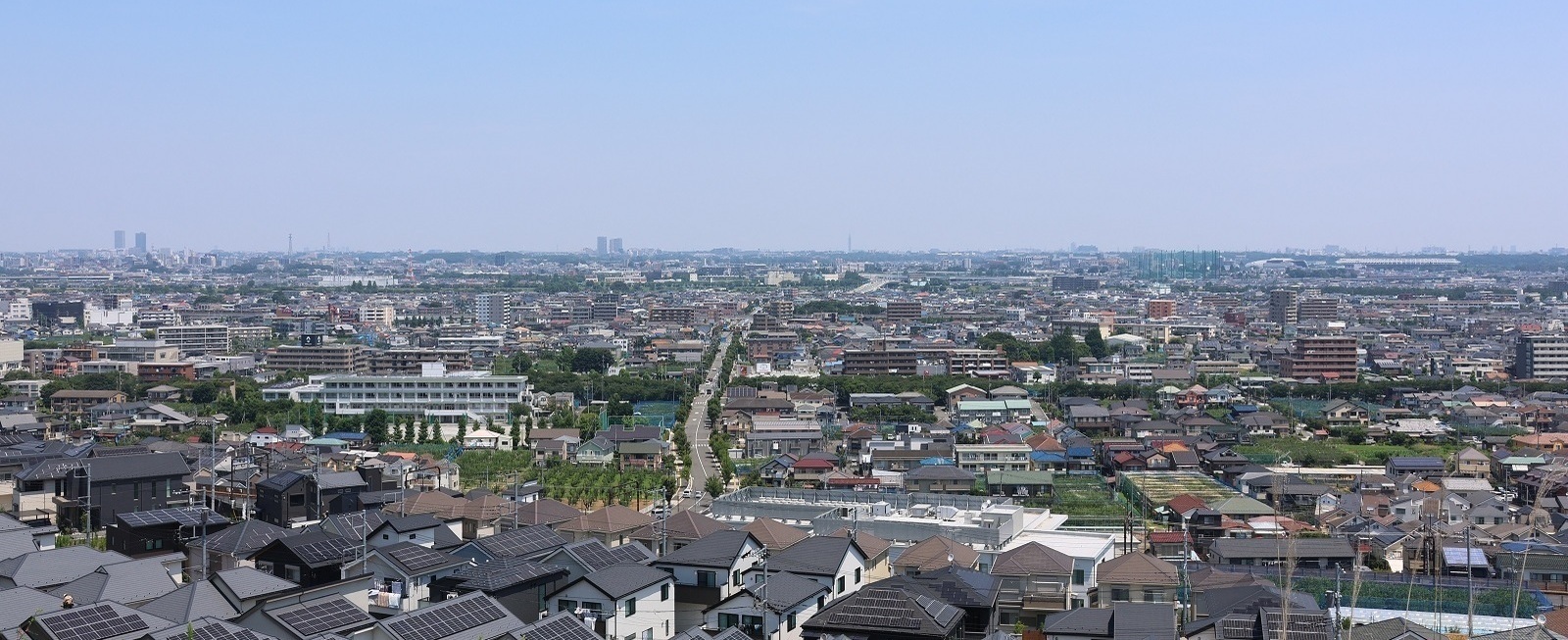 照片：從南山看稻城市內