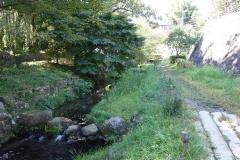 照片:上谷戶親水公園1