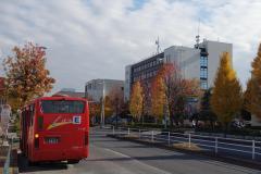 照片:稻城市市公所公車站附近