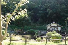 照片:上谷戶親水公園的池塘和水車