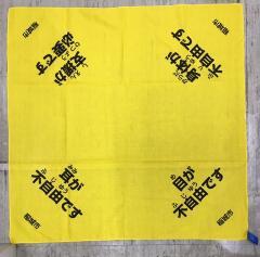 照片:災害時支援用頭巾