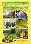 照片：農產品直銷所地圖