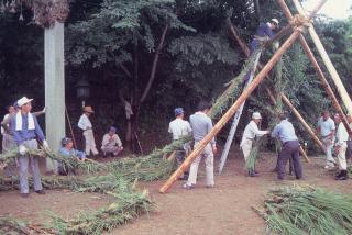 照片:蛇的活動情況