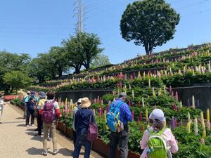 照片:銀色健行1