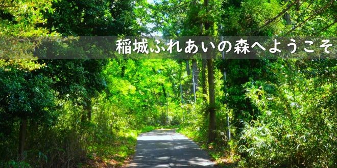 稻城交流森林（青少年健全發展設施）是什麼