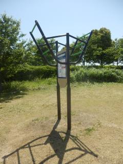照片:稻城北綠地公園懸掛棒
