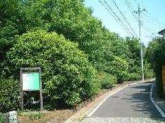 照片:活動地點周邊