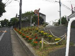 照片:活動地點