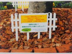 照片:活動看板