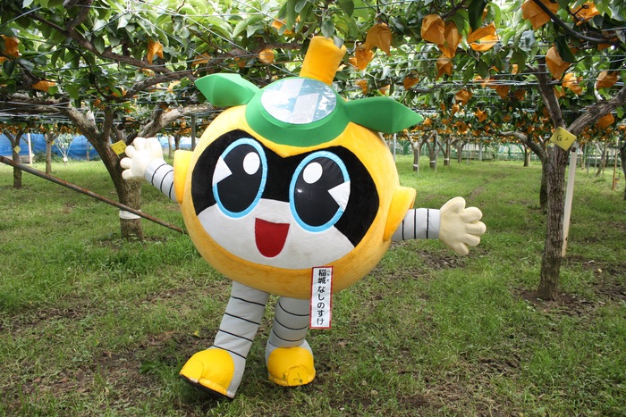 稻城納西之助的圖片
