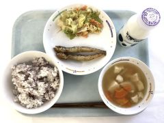 水炊鍋