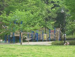 照片:大丸公園6