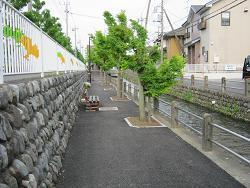 照片:大丸親水公園2