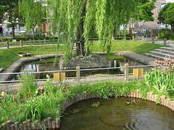 照片:大丸親水公園3