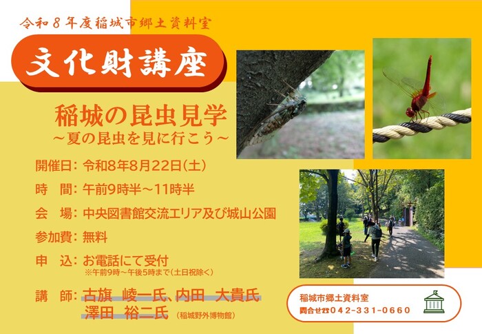 昆蟲